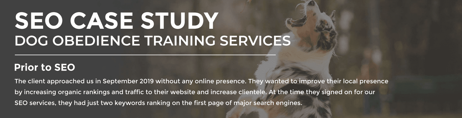 Sacramento SEO-Dog Obedience Case Study